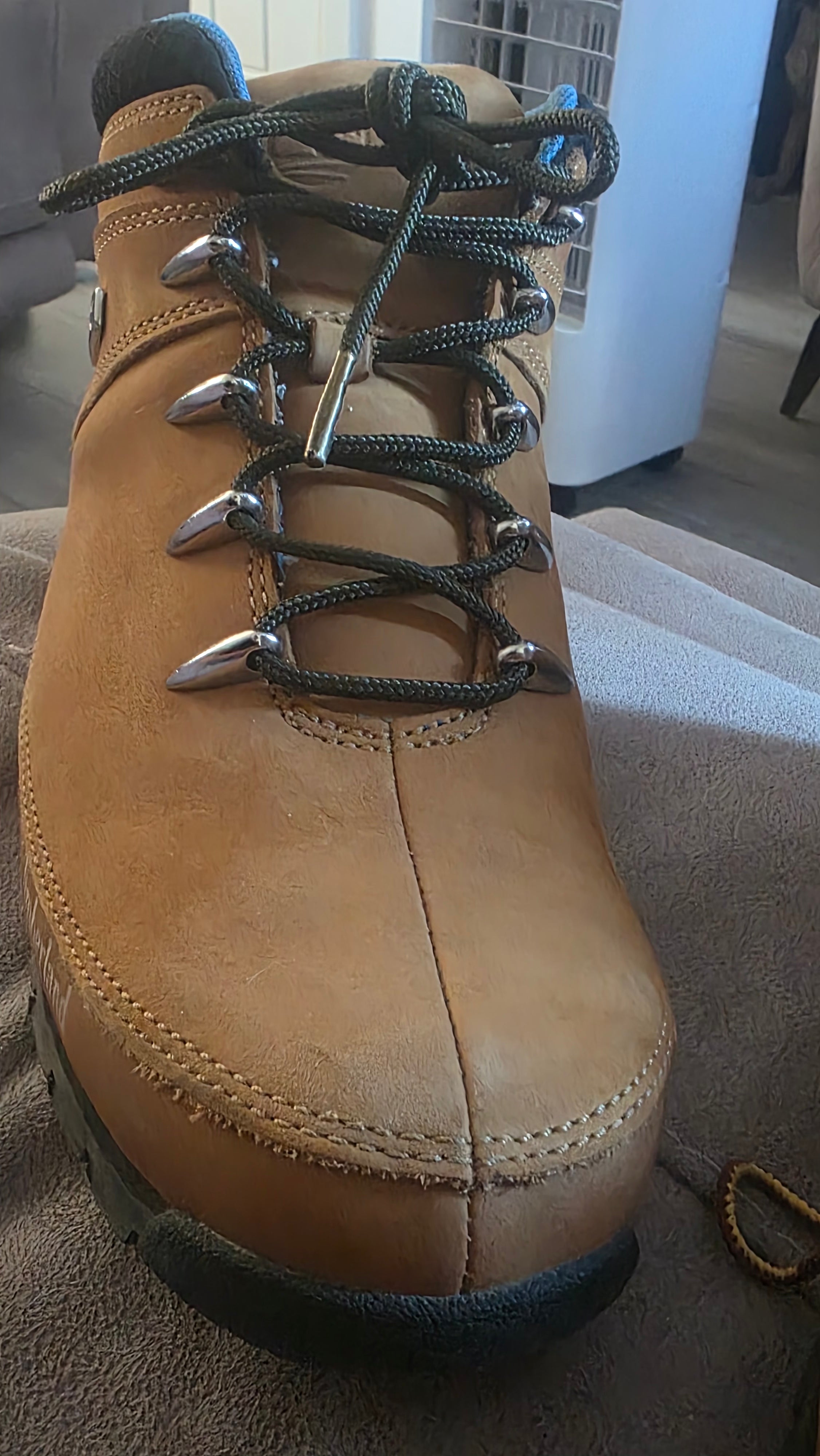Shoe/Boots laces (metal tip)